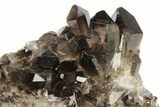 Dark Smoky Quartz Crystal Cluster - Brazil #266157-1